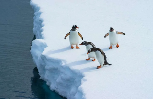 Expedition yacht docked in icy Antarctic waters