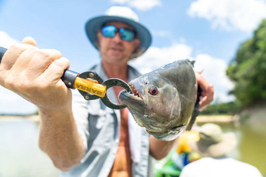 Wildlife or natural landscape scene from the Amazon expedition.