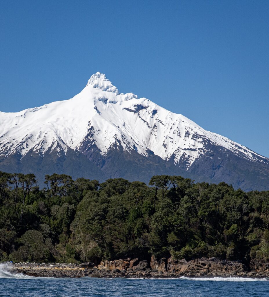 Close-up or environmental portrait from an expedition in Corcovado