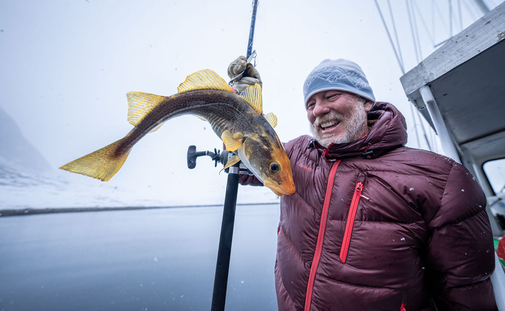 Skier navigating Greenland's snowy terrain during the 2024 Ski & Sail expedition.