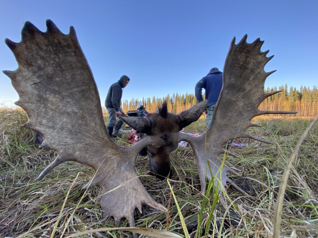 Scenic view of a cold, rugged outdoor landscape.