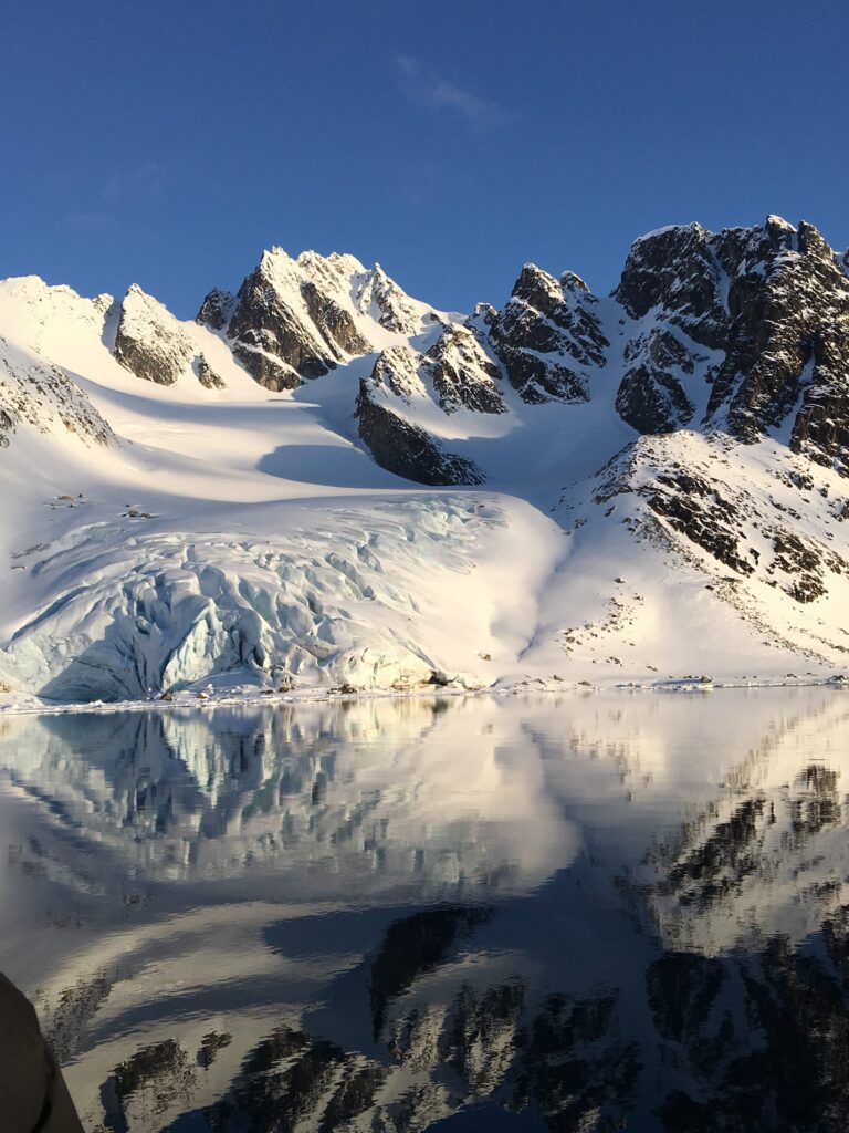 Wildlife or nature-focused image from Corcovado.