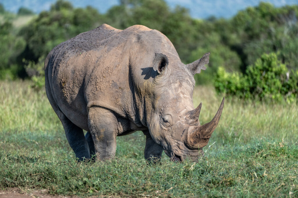Scenic view from the Kenya Expedition Terra 2024, capturing the vast landscape