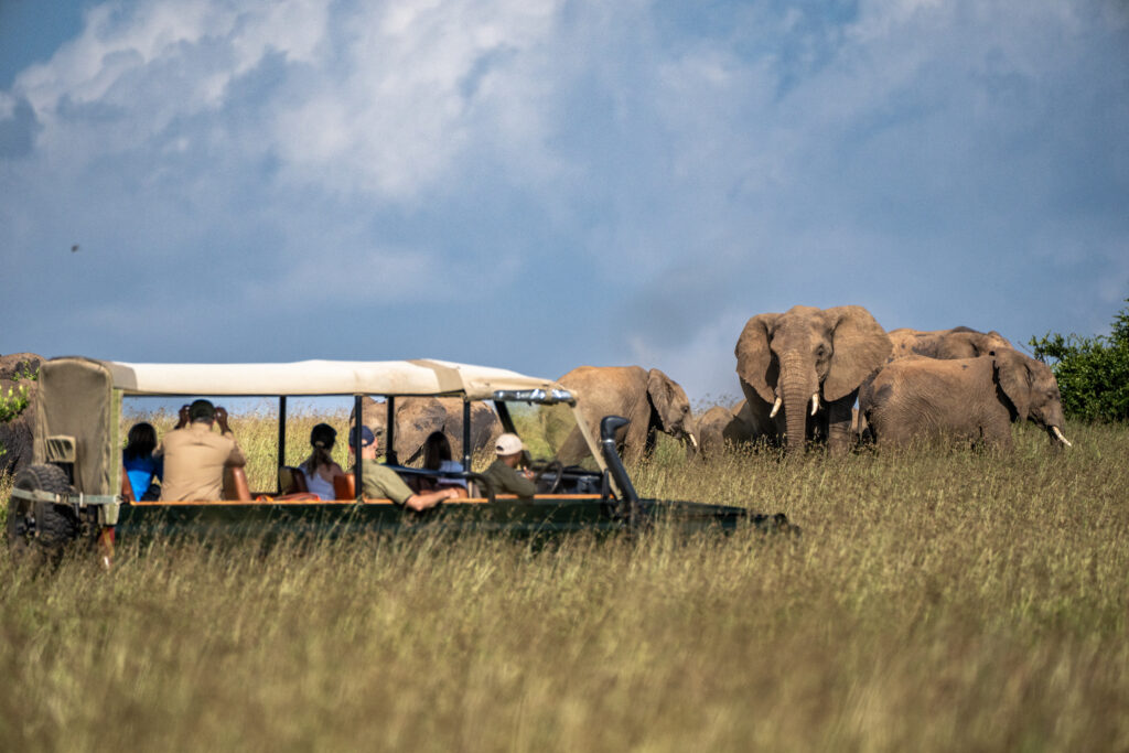 Outdoor adventure scene, potentially featuring exploration, travel, or environmental storytelling.