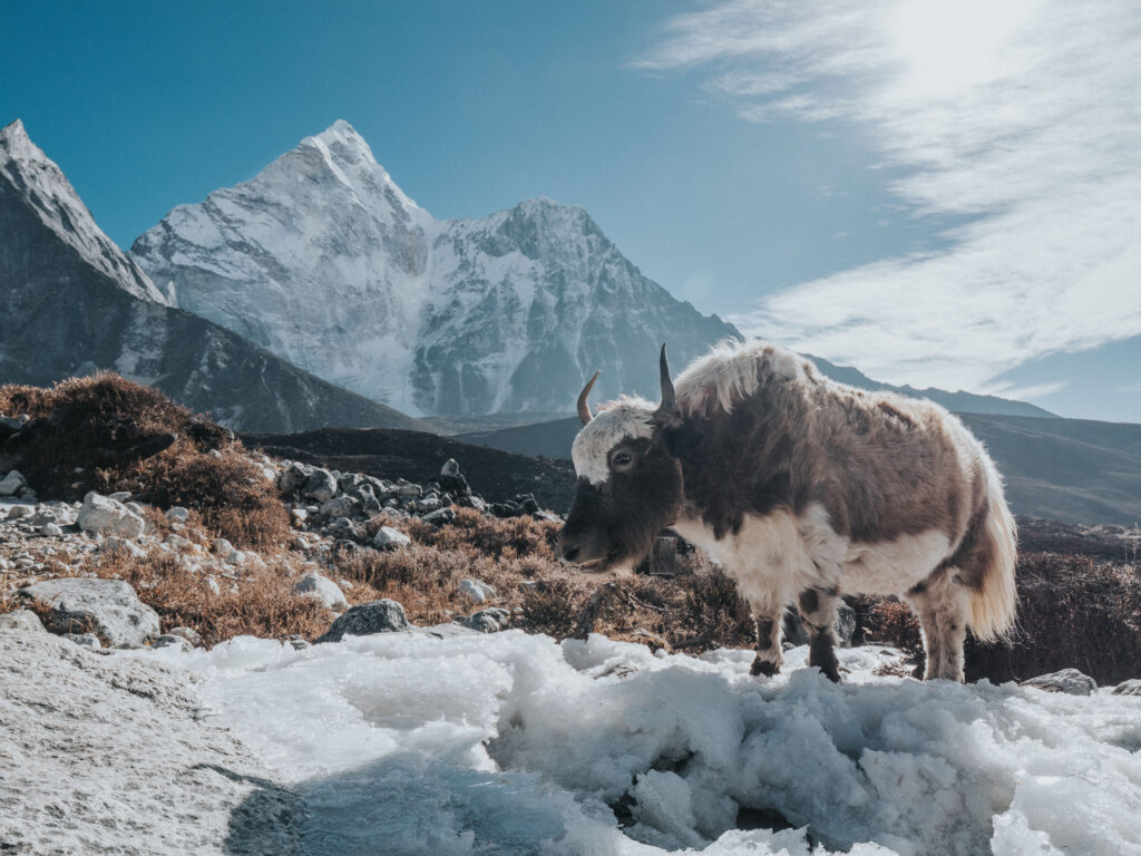 A hiker trekking through a remote, mountainous landscape.