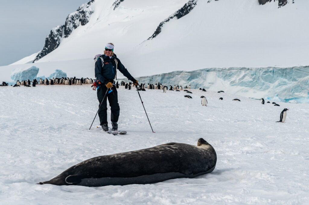 Icebergs and frozen waters in Antarctica, highlighting the harsh climate