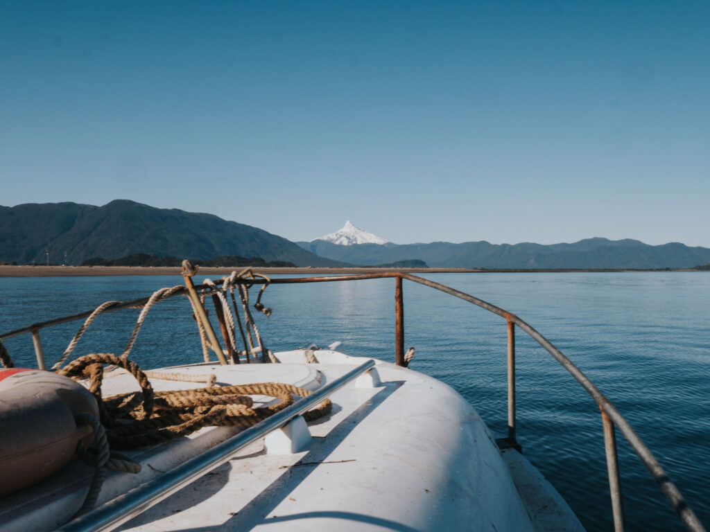 Stein Retzlaff in the Corcovado rainforest, immersed in nature.